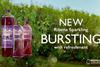 Ribena Sparkling advert showing bottle of drink in front of blackcurrant bushes