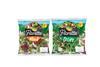 Florette PMP