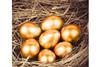 Golden eggs