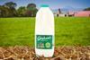 105780-002-GFD-Web-Hay-Farm-Semi-Skimmed-2L-585x423-1