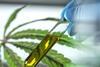 Test tube containing CBD oil in lab with cannabis leaves in background