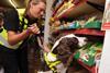 Sniffer dog illicit tobacco