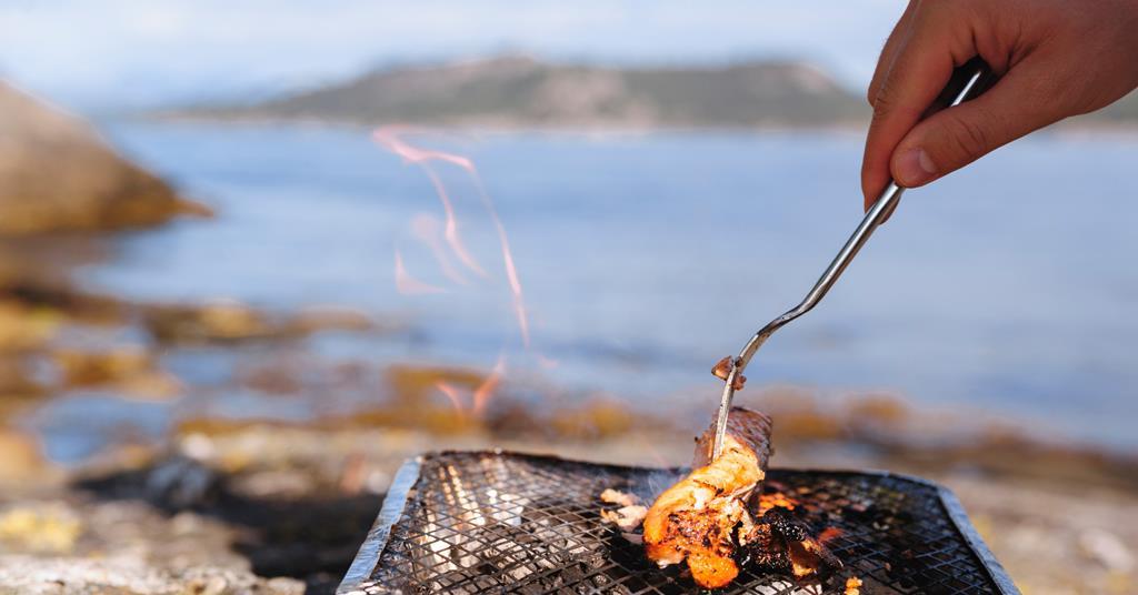 MPs have called for a restriction on sales of disposable barbecues in a ...