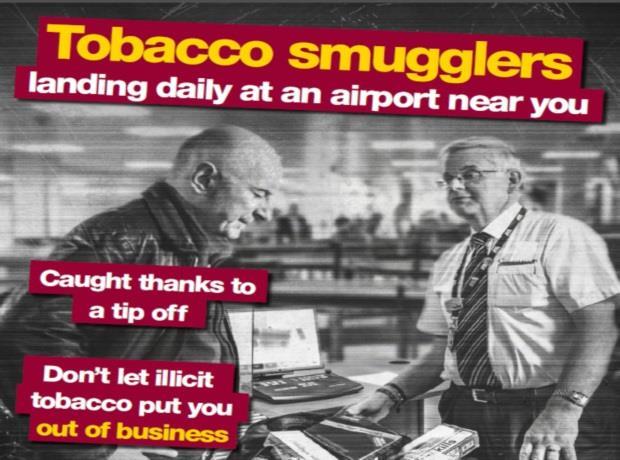 menthol tobacco seeds BURLEY TOBACCO 3000+ SEEDS Maryland MD A30 Fresh 2025 crop Instructions  Included