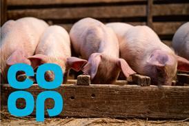 Untitled design (11)