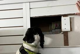 portrait - 2026-02-18T101250.982