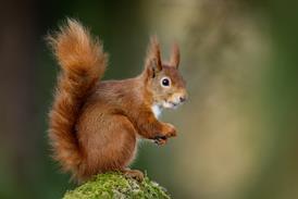 GettyImages-1475233110