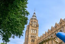 The National Lottery unveils Fingers Crossed installations outside The National History Museum