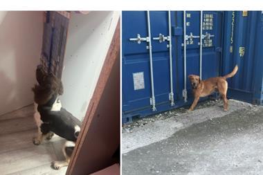 Sniffer Dogs Hull illicit tobacco