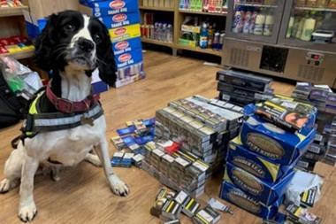 cfa2c4da0ce14a4da7b23090ccfc66f0