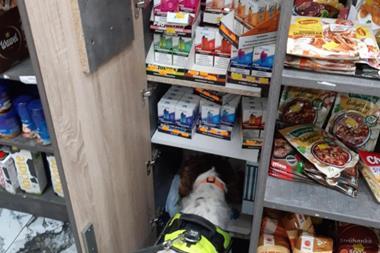 800_illegalvapes4cropped