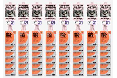 Copy of Untitled Design - 2025-06-19T155009.236