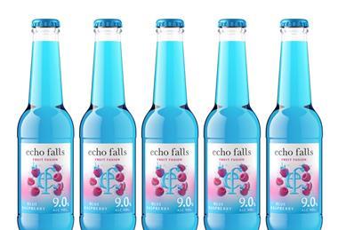 Echo Falls 275ml Fruit Fusion
