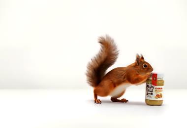 MASTER 8 C.00_00_26_00.Still009