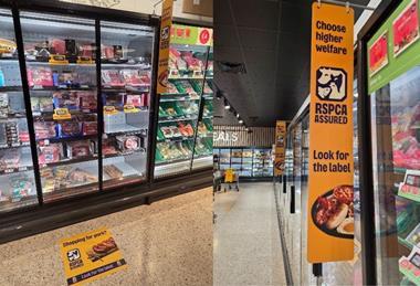 Convenience Store - 2026-10-14T123238.145