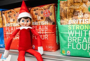 UNP Co Op 47295 _ elf