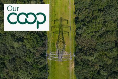 Convenience Store (83)