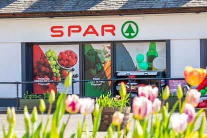 384464_spardrymenlowres_311873