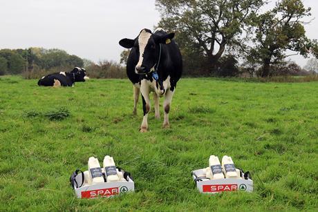 Ann Forshaw's x Clifton Dairies Whole Milk V2