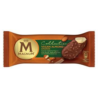 Vegan Magnum