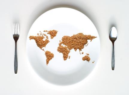 world foods