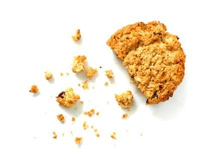 An Oat biscuit breaking into crumbs
