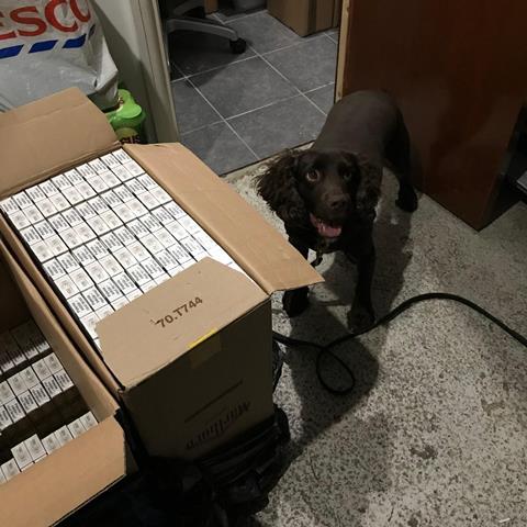 Sniffer dog stood alongside a box of illicit cigarettes