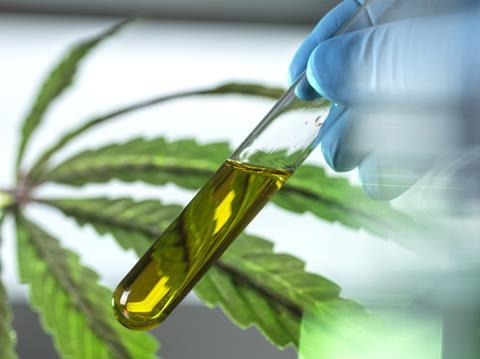 Test tube containing CBD oil in lab with cannabis leaves in background
