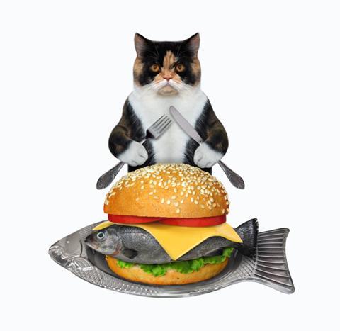 Funny picture of cat holding knife and fork with fresh fish burger on a silver platter.