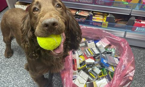 Dog with tobacco West Sussex