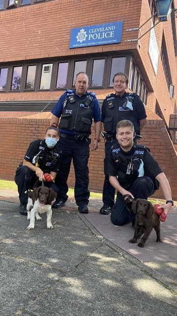 The_new_search_puppies__pictured_with_members_of_the_Hartlepool_Neighbourhood_Policing_Team___WEB