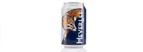 Heverlee_Can_Fox