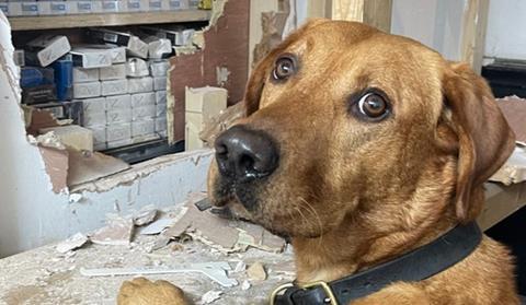 Telford Wrekin Council illicit tobacco seizure