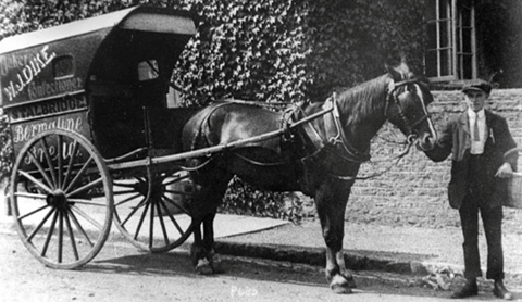 Dike_horse cart delivery