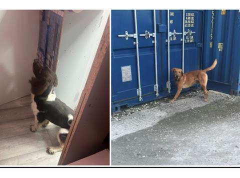 Sniffer Dogs Hull illicit tobacco