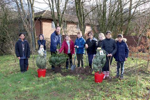 Sherwood Primary School - SPAR Christmas Trees