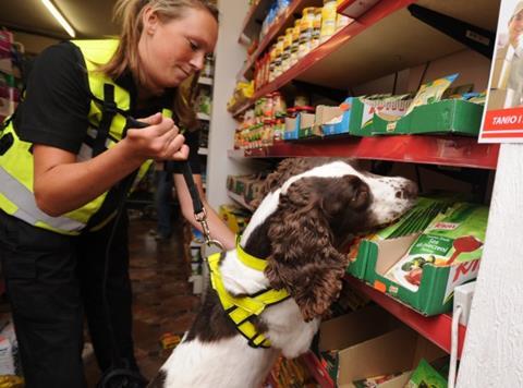 Sniffer dog illicit tobacco