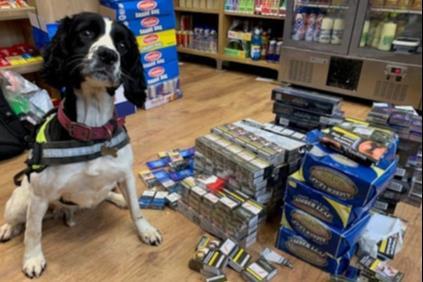 cfa2c4da0ce14a4da7b23090ccfc66f0