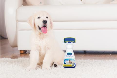 Pet Stain & Odour Remover - Lifestyle