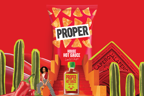 Proper House Hot Sauce lentil chip