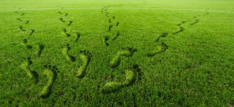 grass footprints