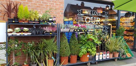 1 Alfresco_Plants_Simply Fresh Webheath