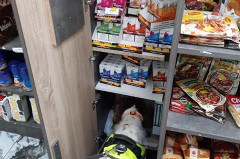 800_illegalvapes4cropped