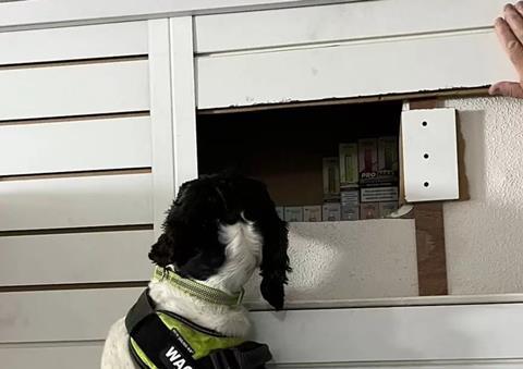 portrait - 2026-02-18T101250.982