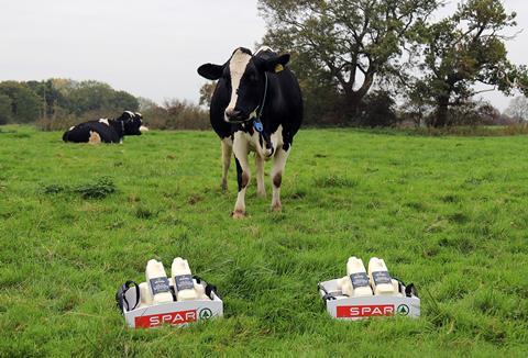 Ann Forshaw's x Clifton Dairies Whole Milk V2