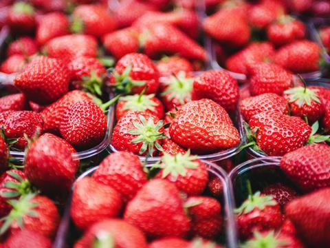 Strawberries in punnets