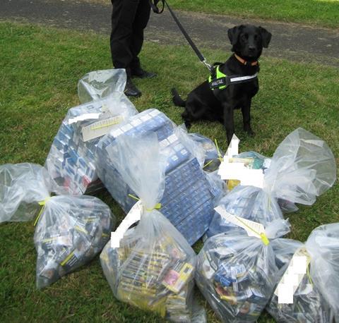 illicit-cigarettes-and-tobacco sniffer dog