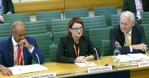 Marina Murphy Housing, Communities and Local Government Committee