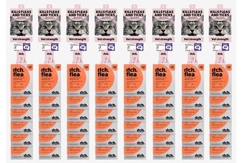 Copy of Untitled Design - 2025-06-19T155009.236